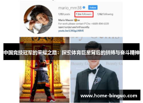 中国竞技冠军的荣耀之路：探索体育巨星背后的拼搏与奋斗精神