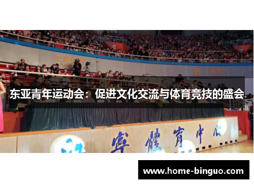 东亚青年运动会：促进文化交流与体育竞技的盛会