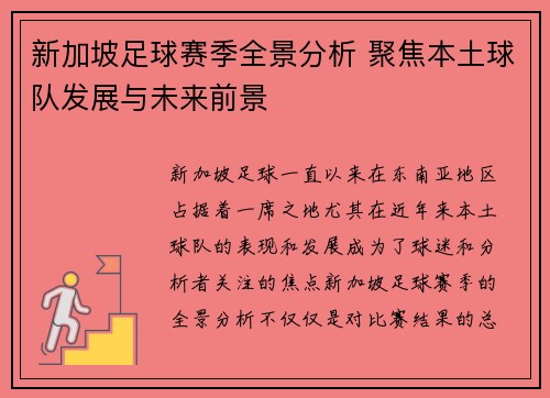 新加坡足球赛季全景分析 聚焦本土球队发展与未来前景