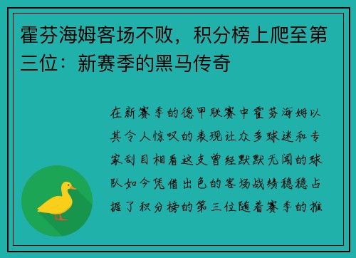 霍芬海姆客场不败，积分榜上爬至第三位：新赛季的黑马传奇